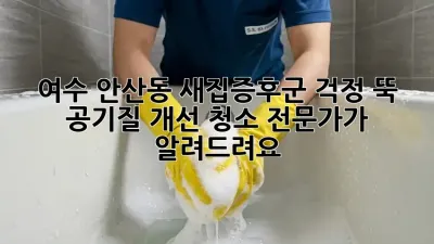 여수 안산동 새집증후군? 걱정 뚝! 공기질 개선 청소 전문가가 알려드려요!